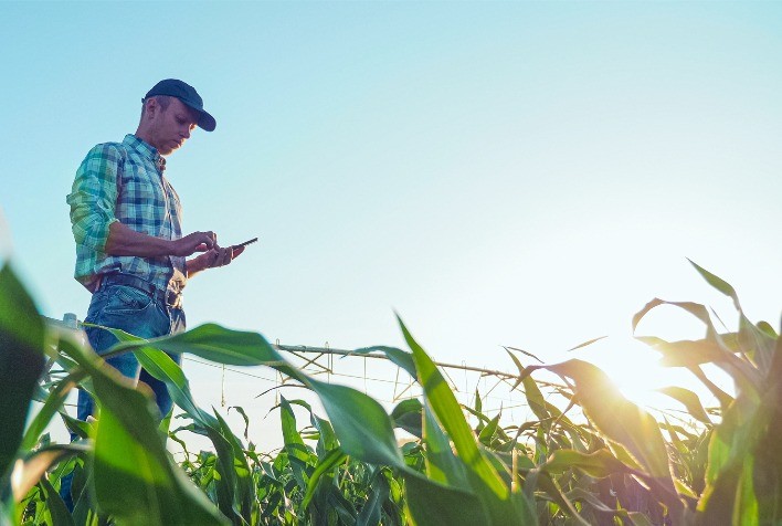 Atividades em usinas sucroalcooleiras do Nordeste crescem na safra 2020/21