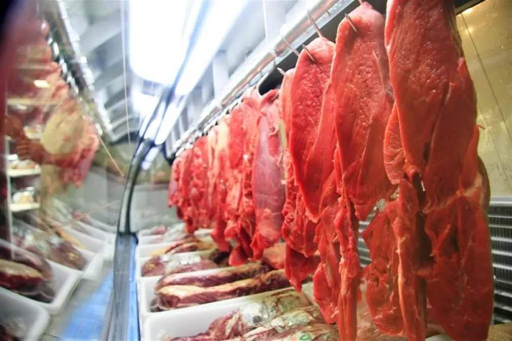 Os números da exportação de carne no Brasil - Ama Agrogócio